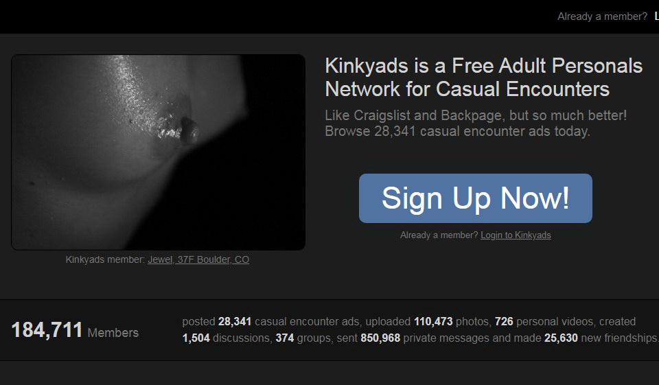 Review of Kinkyads: Expert Opinion for All Users