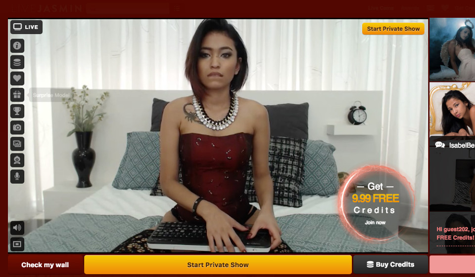 Può LiveJasmin tenere traccia dei suoi utenti?